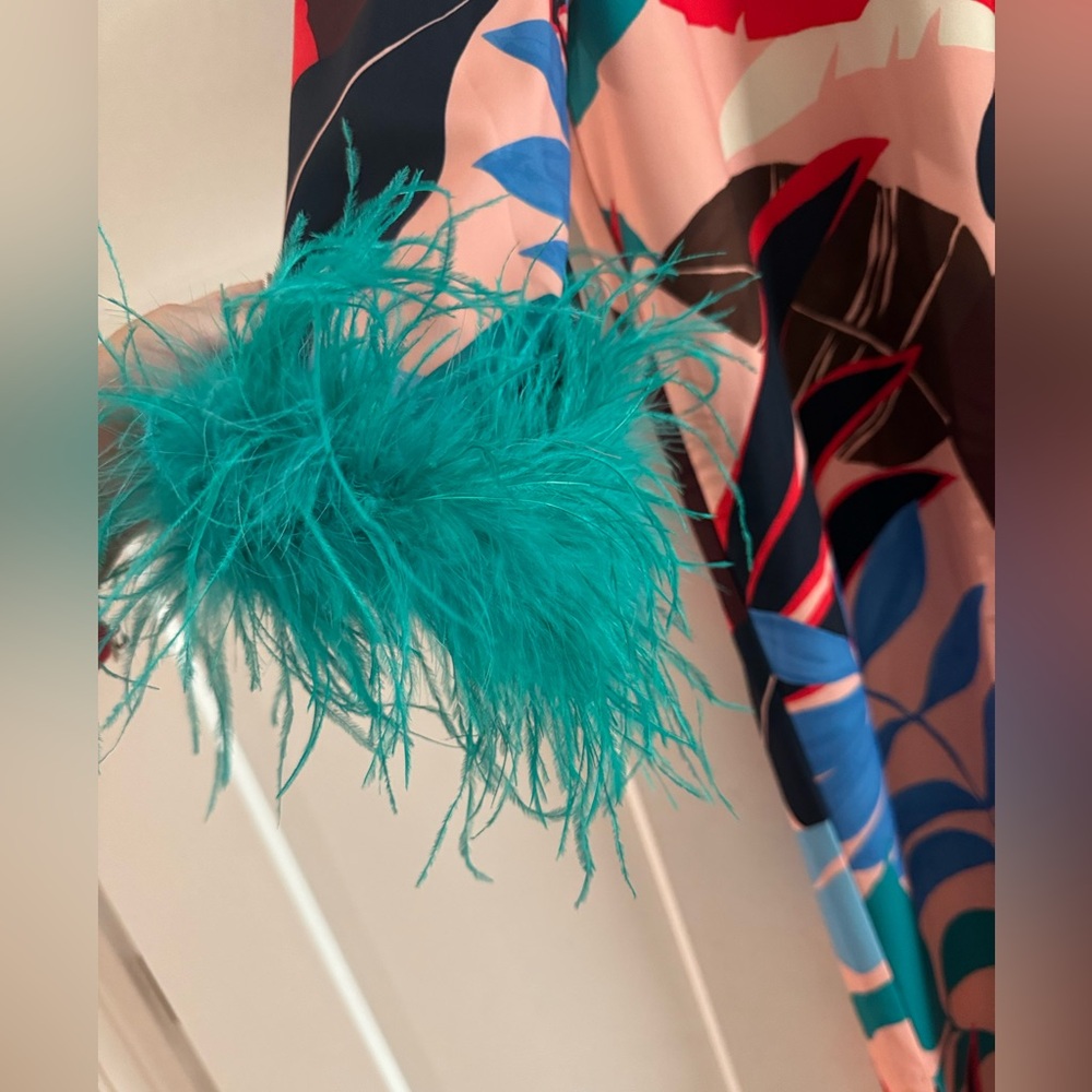Tuckernuck Vibrant Palm Feather Sleeve Maxi - Picture 4 of 4